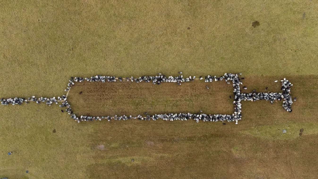 Németországban igazán eredeti módon népszerűsítik az oltást
