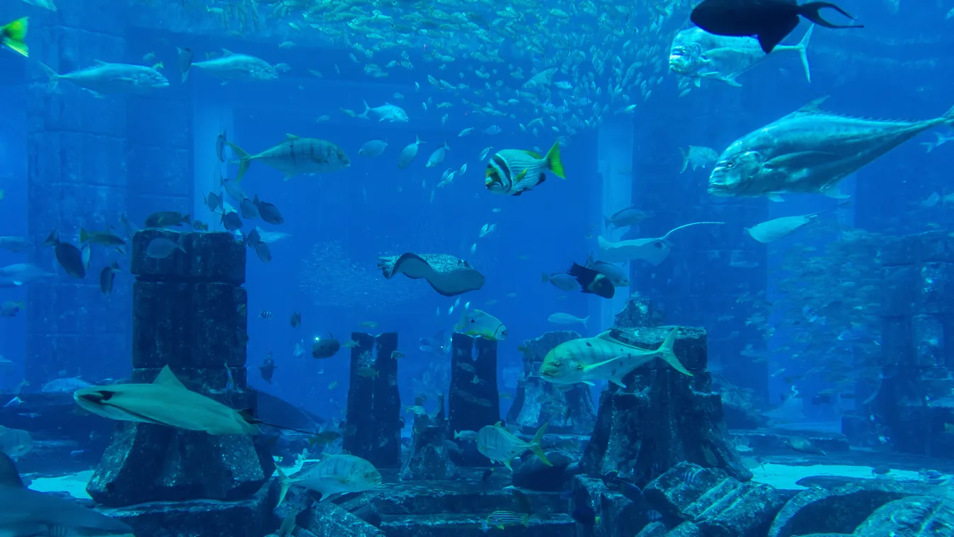 atlantisz illusztráció, Shutterstock