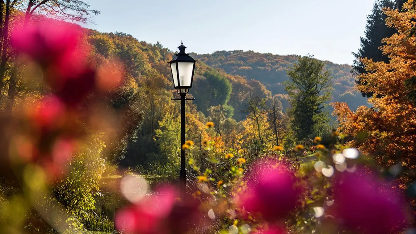 Megújult a Zengő lábánál fekvő arborétum