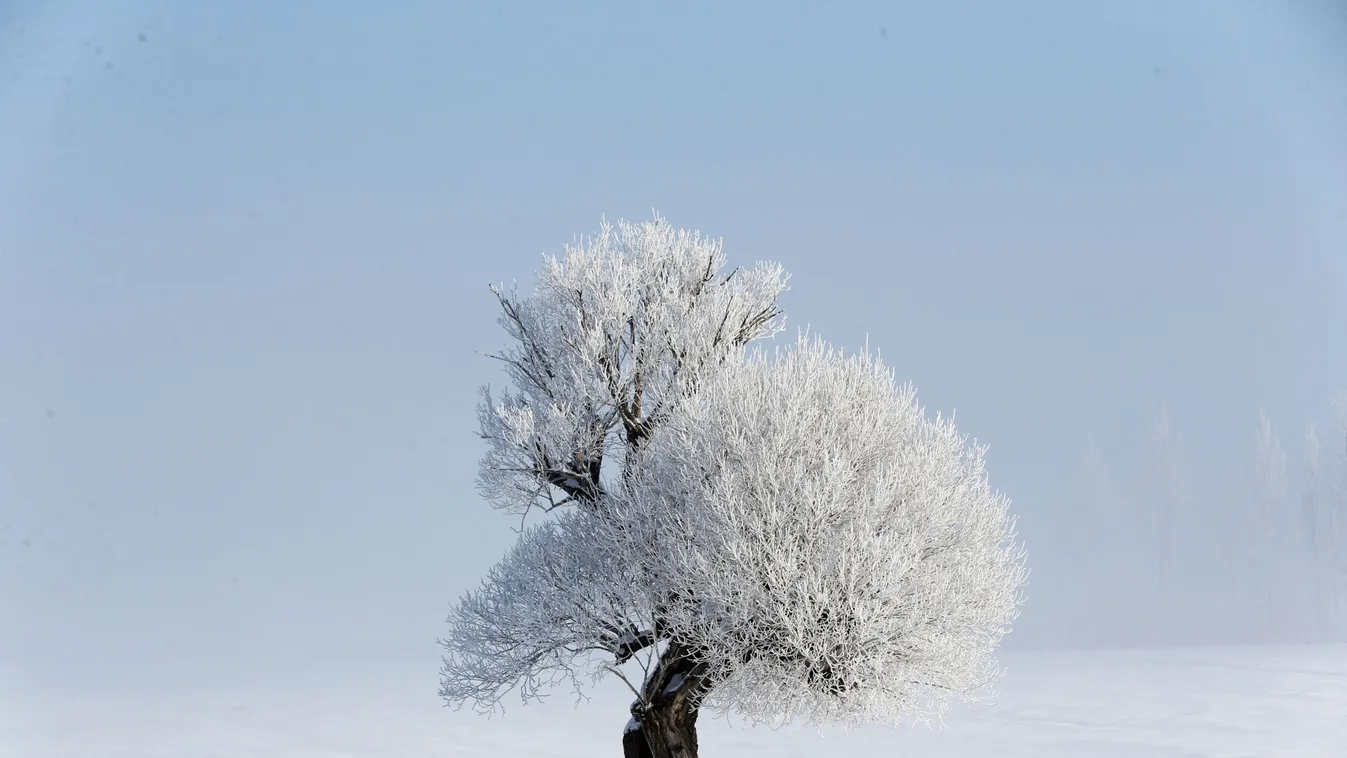 Képekben az elmúlt 24 óra - február 7.