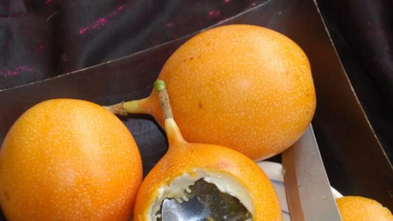 Hét egzotikus gyümölcs, amik pótolják a vitaminbevitelünket