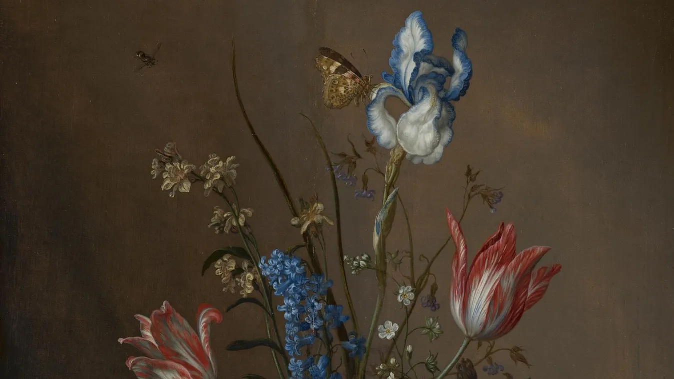 Az aranykor virágpompájával ünnepel a hágai Mauritshuis