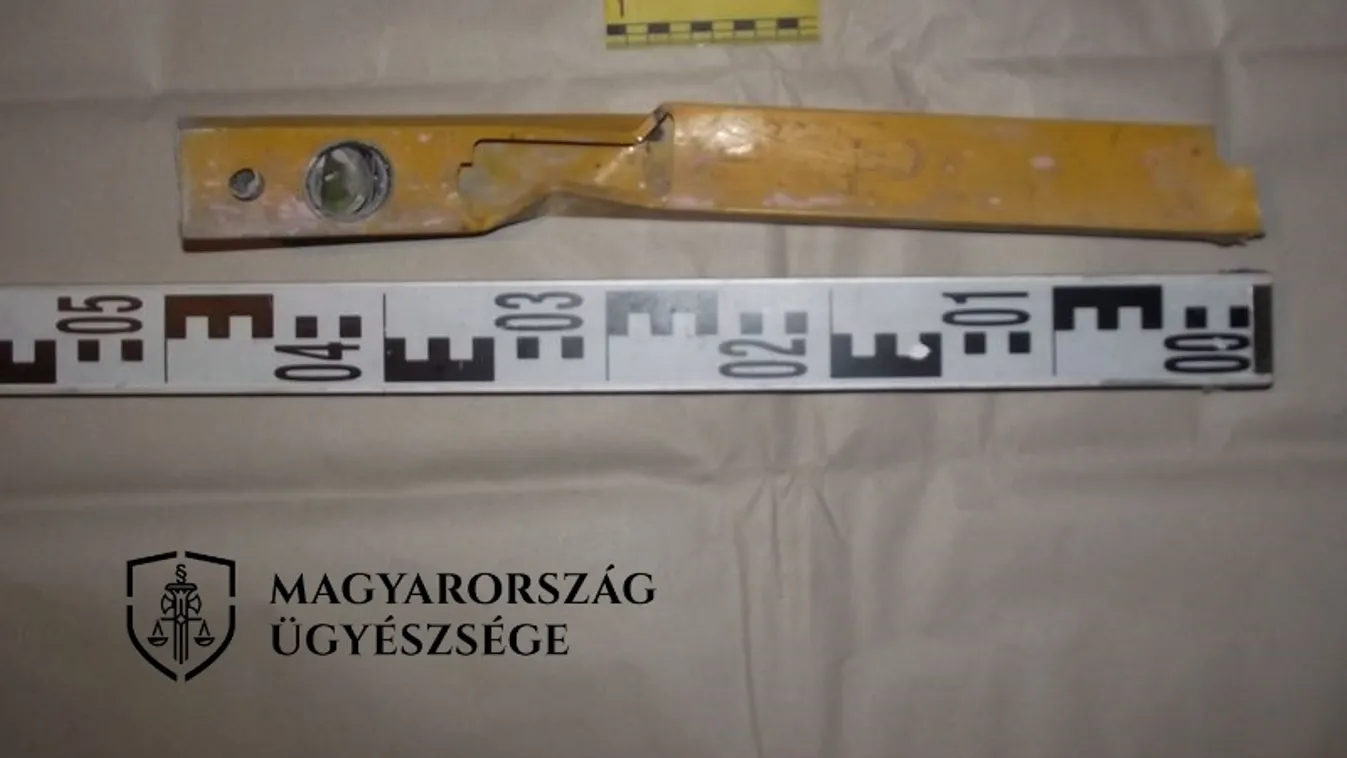 Faág, vízmérték, ágvágó - ezekkel kínozta napokon keresztül élettársát egy férfi