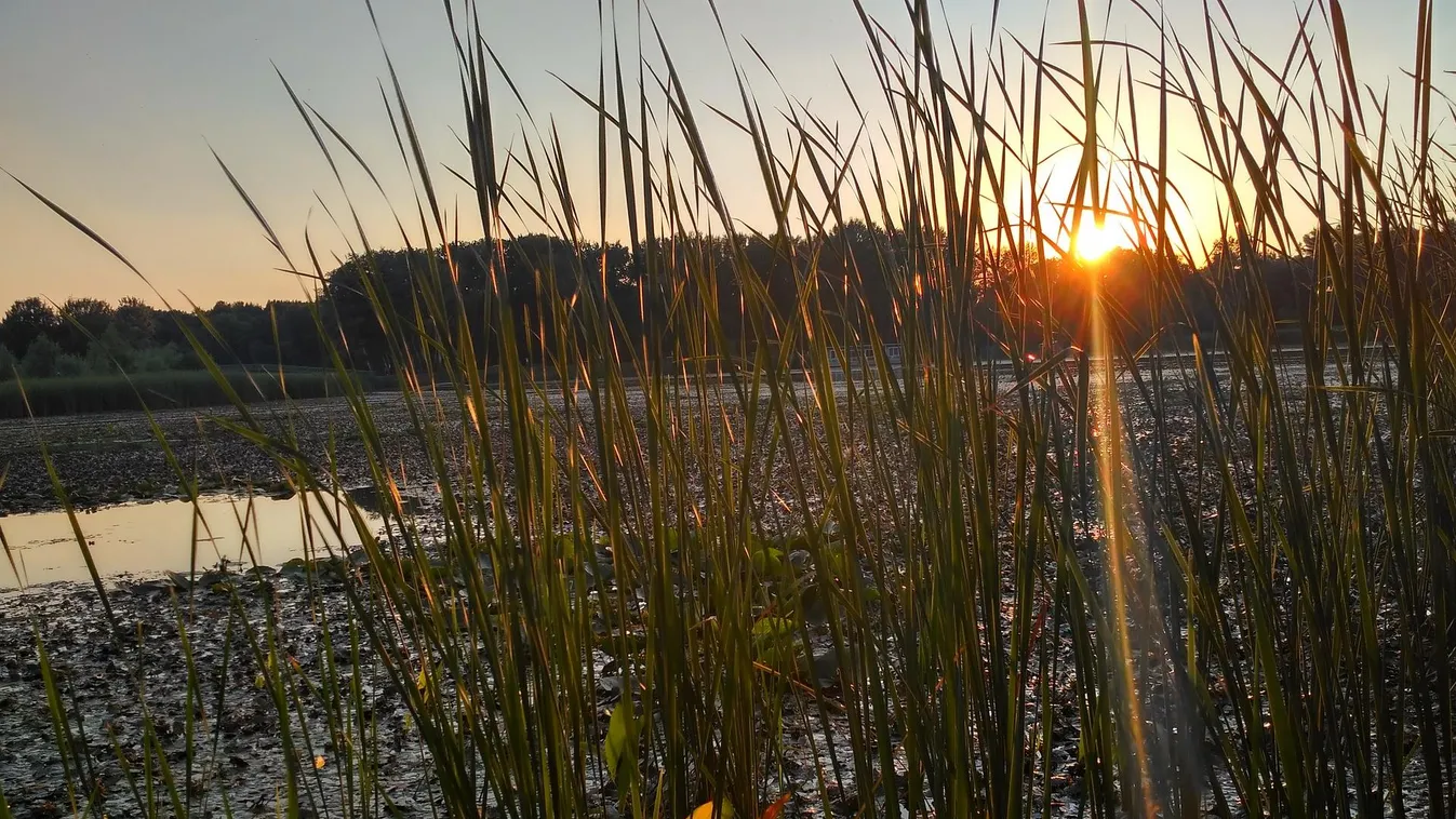 Három ismert filmes forgat együtt egy évig a Tisza-tónál