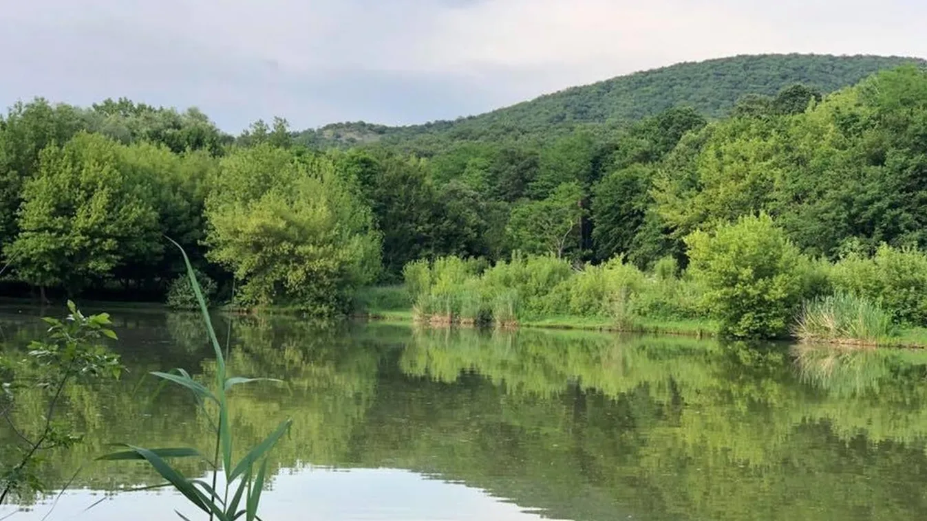 Búbánatvölgy, Szamár-hegy - csendes turista helyek a hosszú hétvégére
