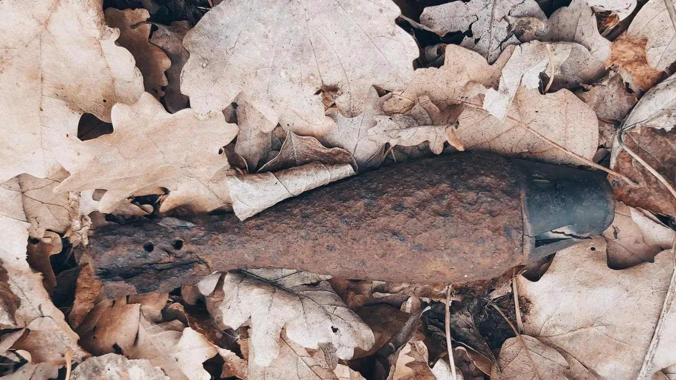 Világháborús robbanószerkezetet találtak a Mecsekben