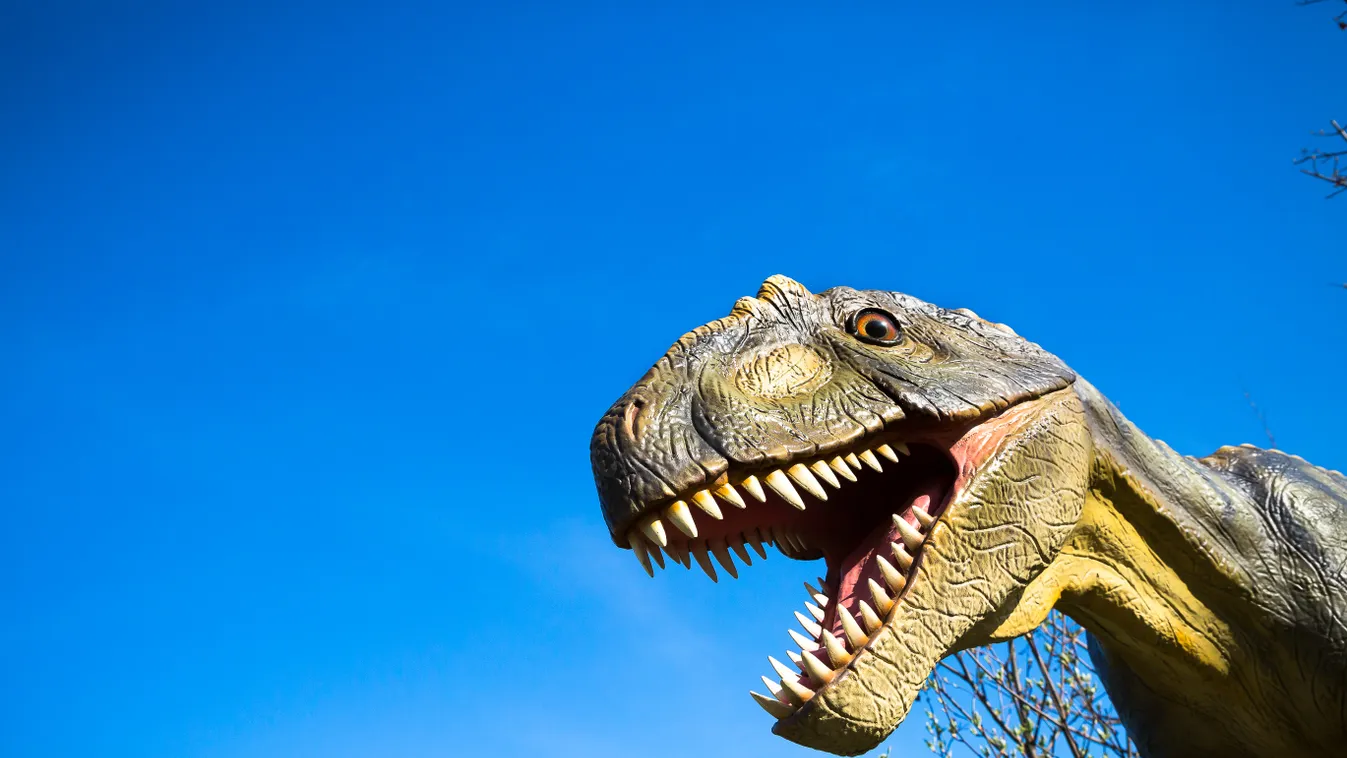 Elképesztő dolgok derültek ki a T-rexről