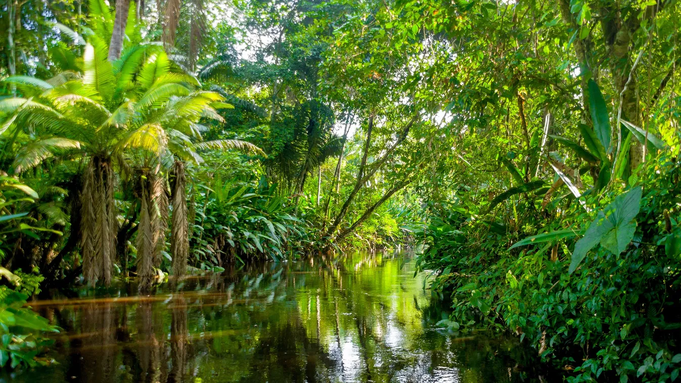A két gyereket 4 hétre elnyelte az Amazonas-medence, most visszaadta őket