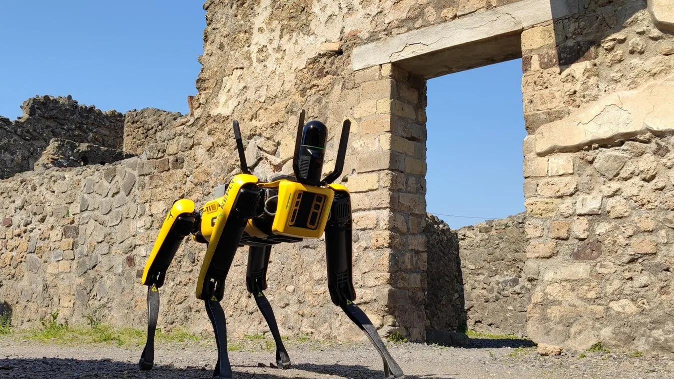 Mostantól robotkutya őrzi Pompeii ereklyéit