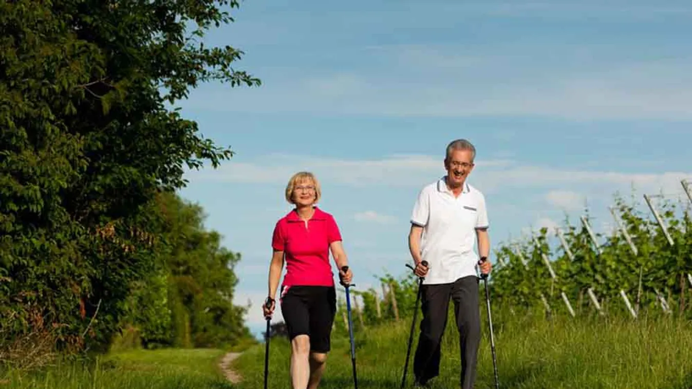 Már a rendszeres, élénk séta is csökkentheti az Alzheimer-kór kialakulásának kockázatát