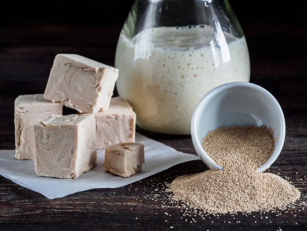 Different,Types,Yeast.,Fresh,Pressed,Yeast,,Dry,Instant,Yeast,And
