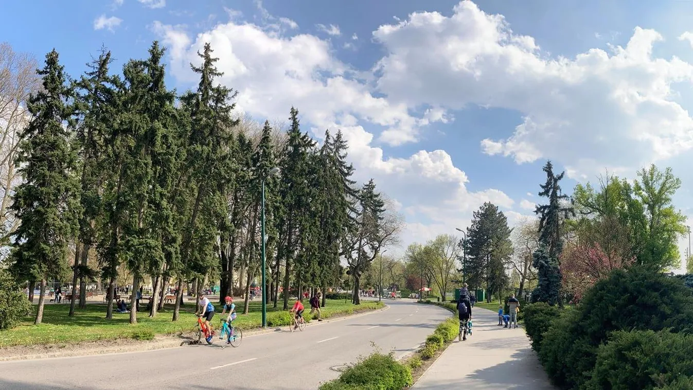 Unod a Normafát? Itt megtalálod Budapest felfedezetlen parkjait