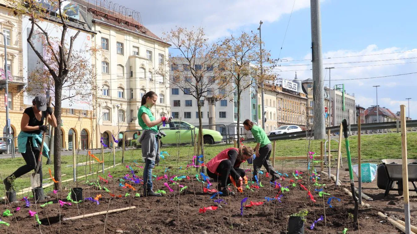 Miyavaki erdő a Boráros téren?
