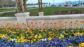 Balatonfüredre megérkezett a tavasz, a turisták még nem