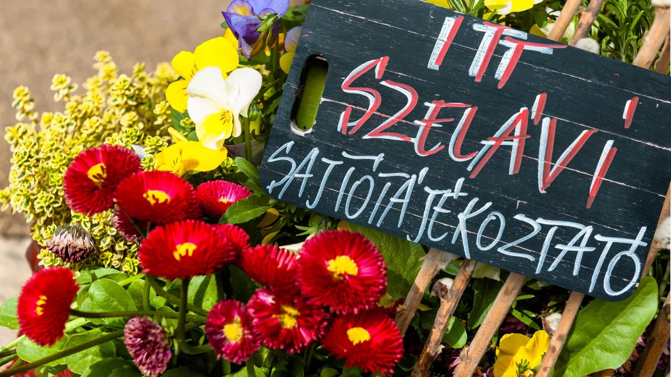 Jenő új, még zöldebb helyszínre kanyarintotta a Szelaví fesztivált