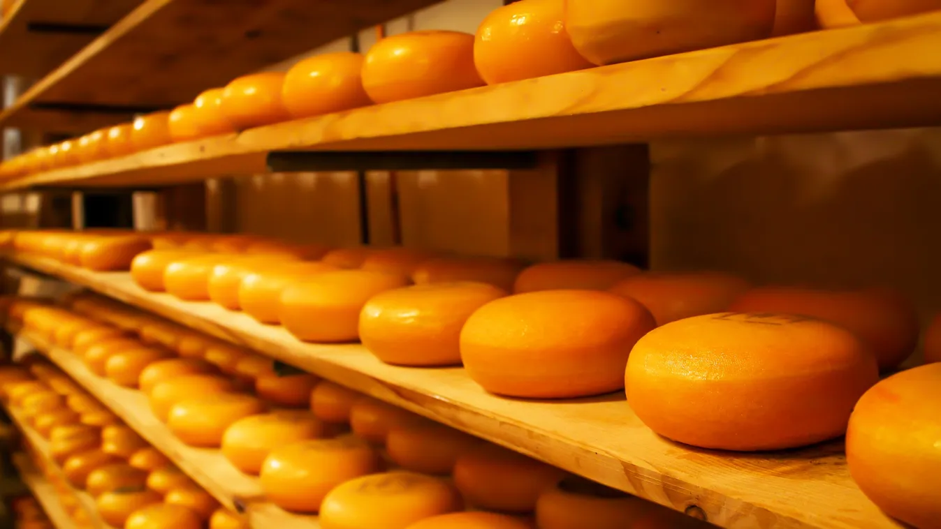 Profi tolvajok lophatták el a méltán híres holland sajtokat