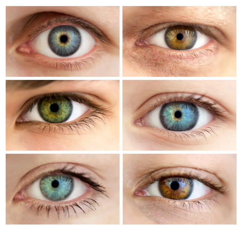 Set,Of,6,Real,Different,Open,Eyes,/,Huge,Size