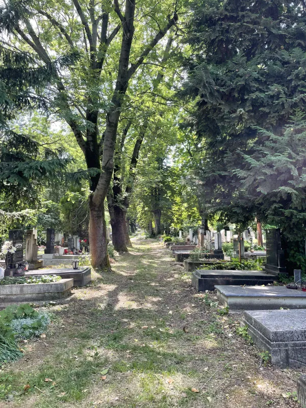 Farkasréti temető 31-es parcella 