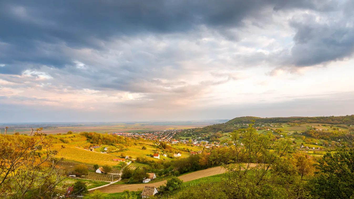 Vidd haza Szekszárdot! – összefogtak a helyi híres borászok (x)