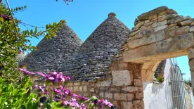 Hófehér kúpházak faluja - Felfedeztük a pugliai Alberobellót