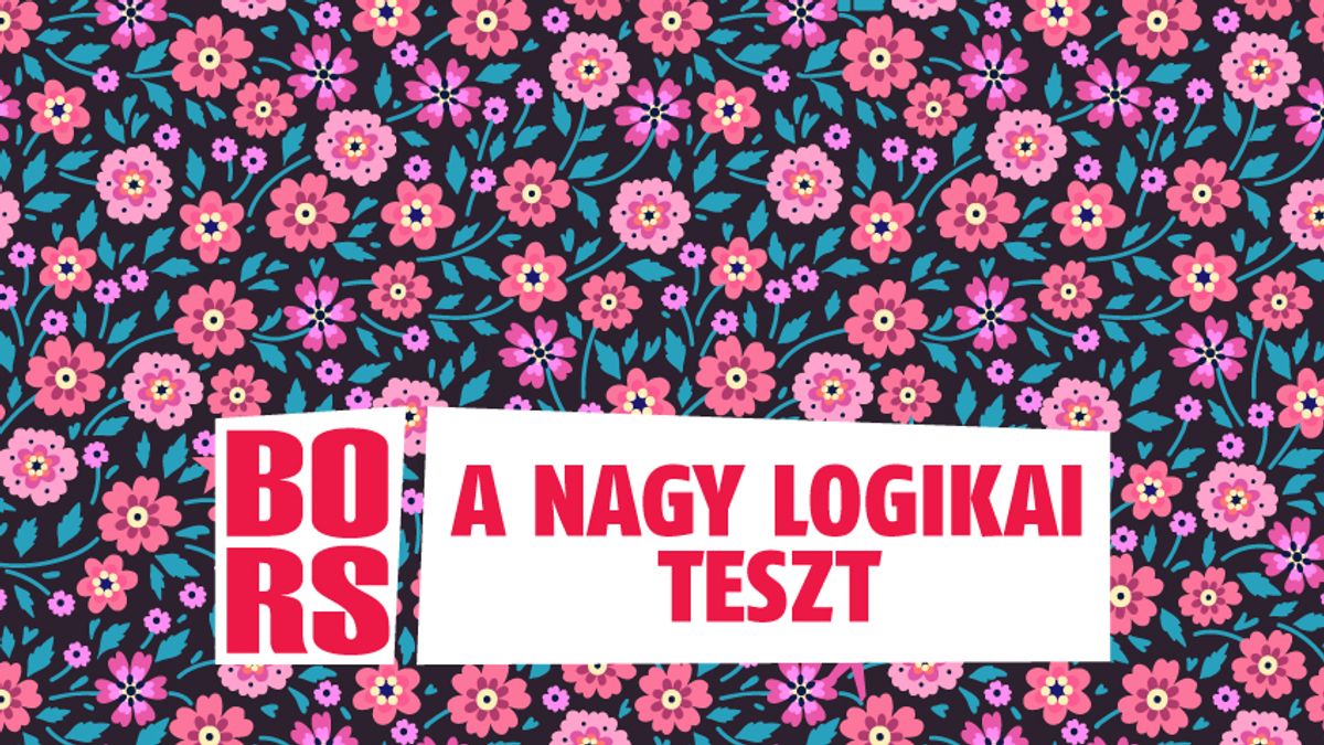 A nagy logikai teszt! Ezeken a képeken tényleg csak a legszemfülesebbek találják meg a különbségeket