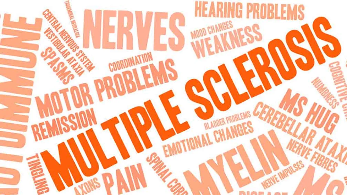 Sclerosis multiplex - Hol tévedhetnek el a betegek?