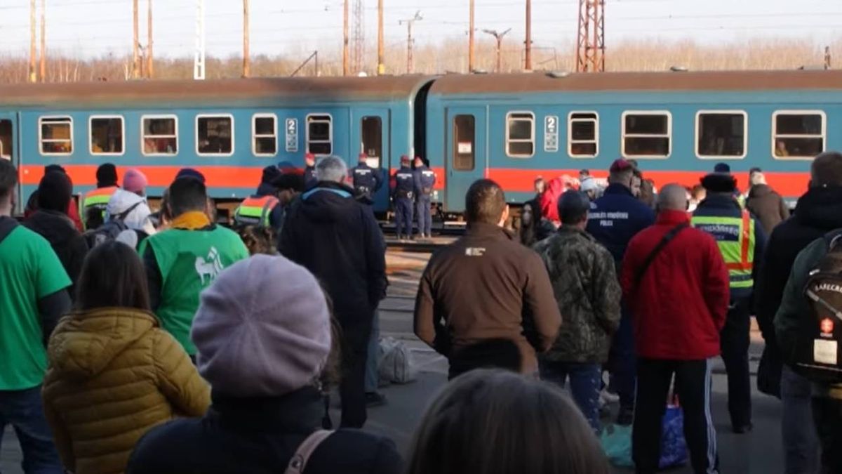 Szentkirályi Alexandra: Magyarország történetének legnagyobb humanitárius akciója zajlik jelenleg is