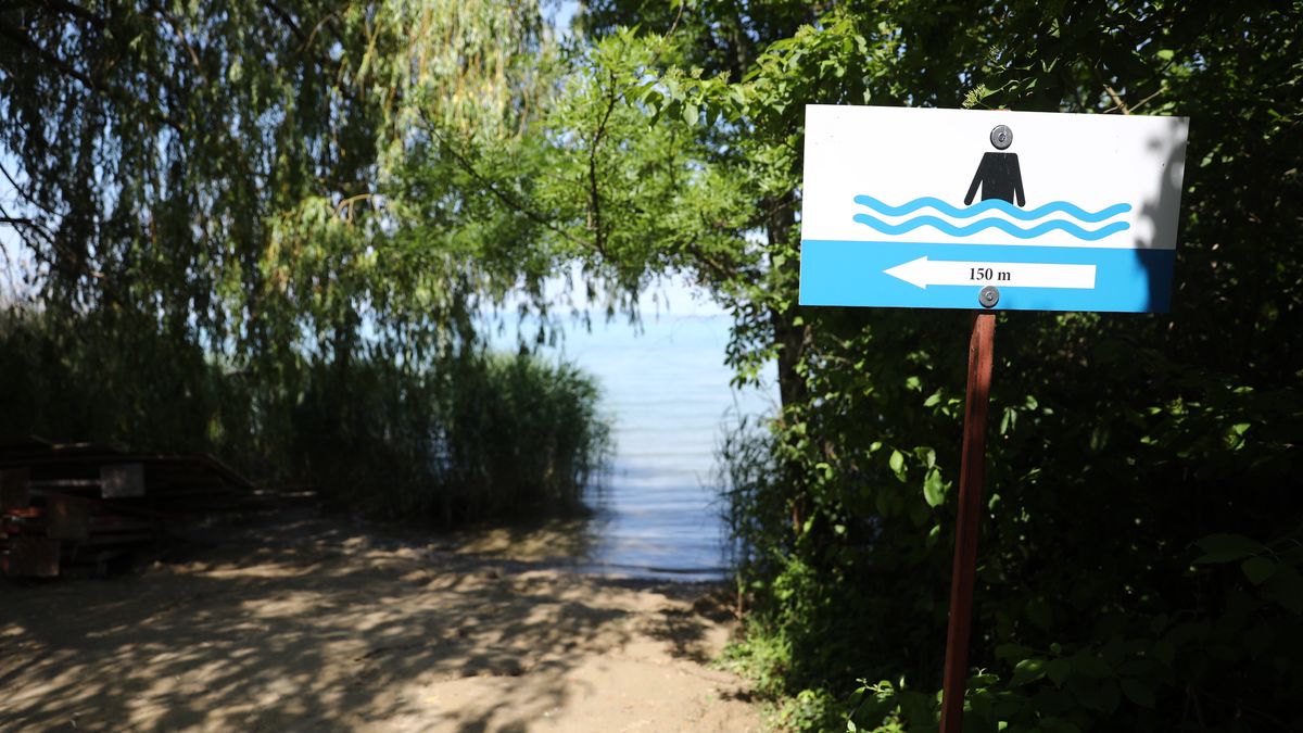 Megszólalt a Balatonba fulladt fiúk unokatestvére, csak ő jutott ki a partra