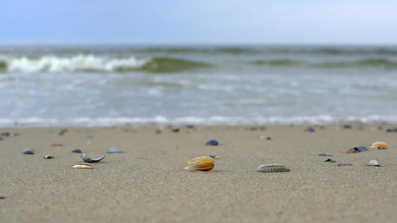 Megbírságolták a szardíniai kagylókat gyűjtő turistákat