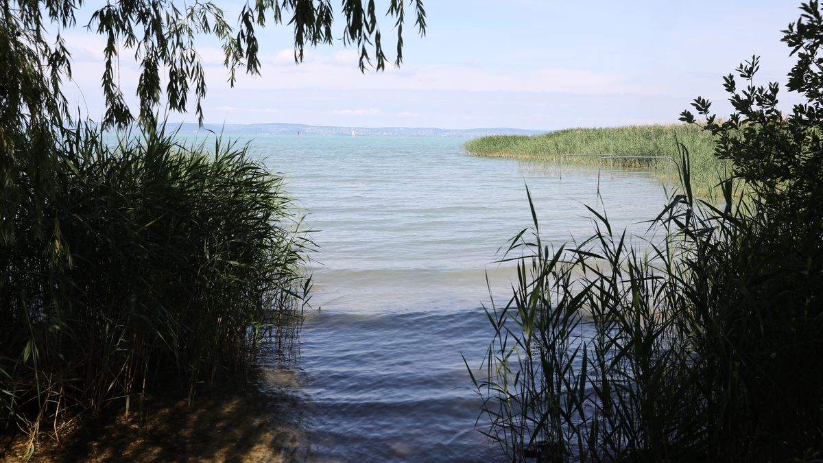 Tragikus hír érkezett a Balatonban eltűnt fiúkról