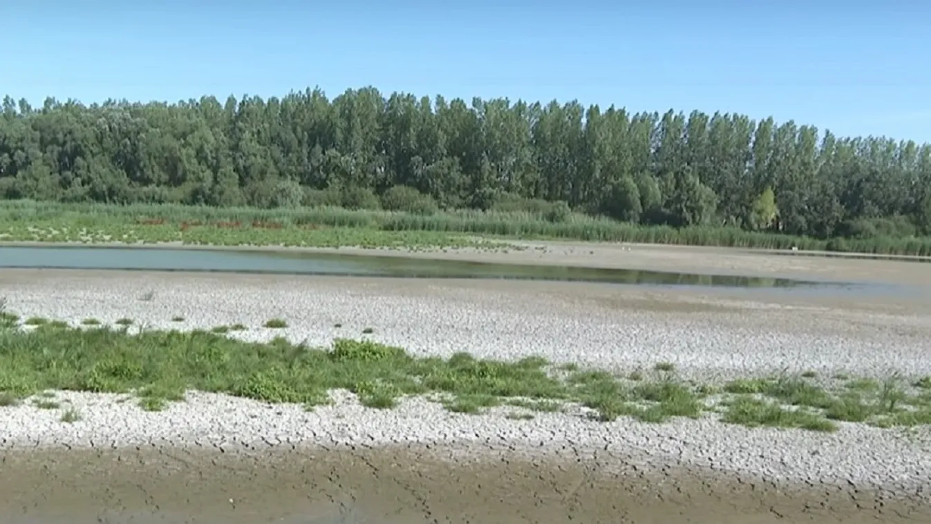Megdöbbentő felvételek: Kiszáradt a Bogyiszlói Holt-Duna