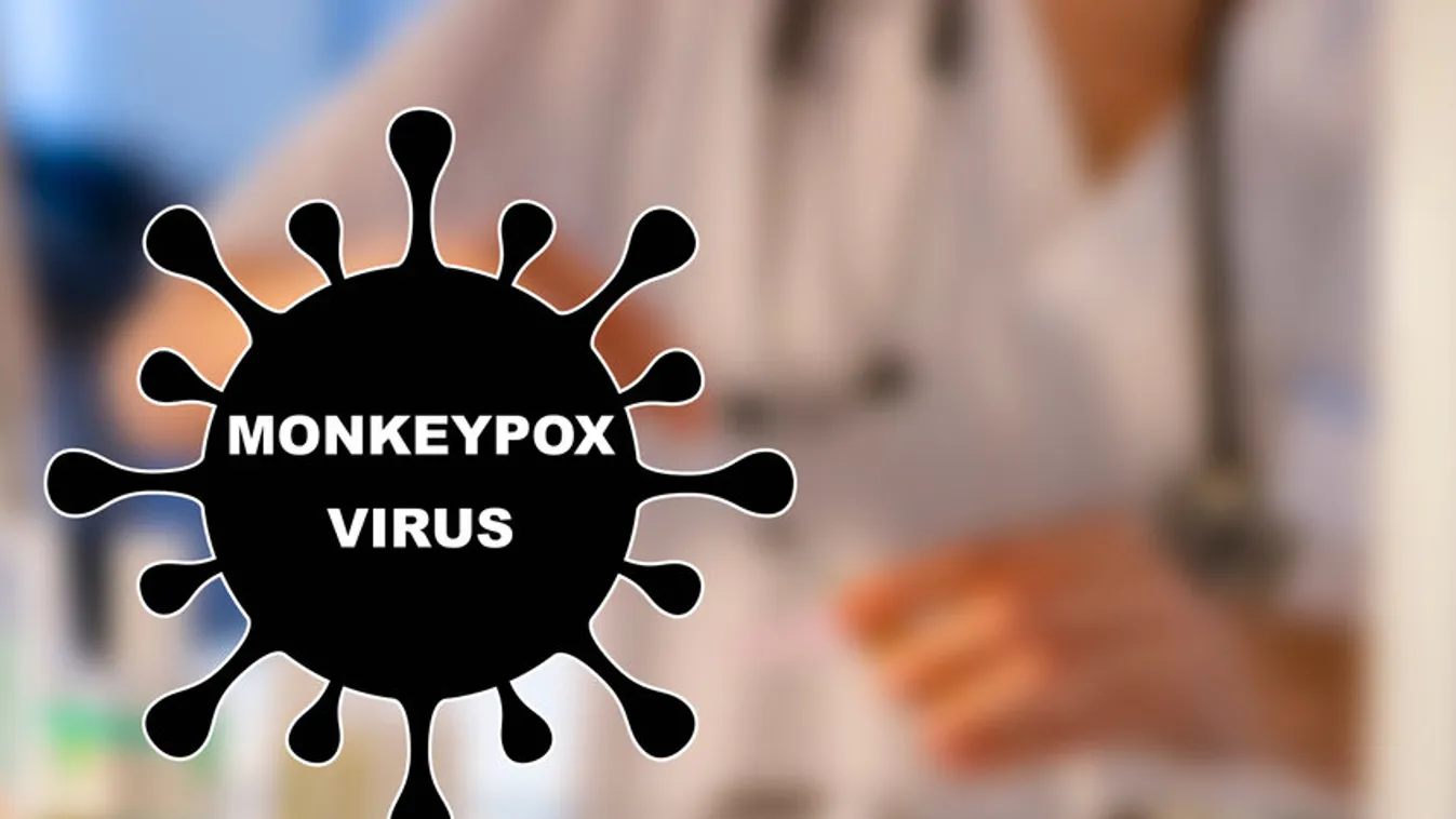 Majomhimlő – Kevesebb szexre int a WHO