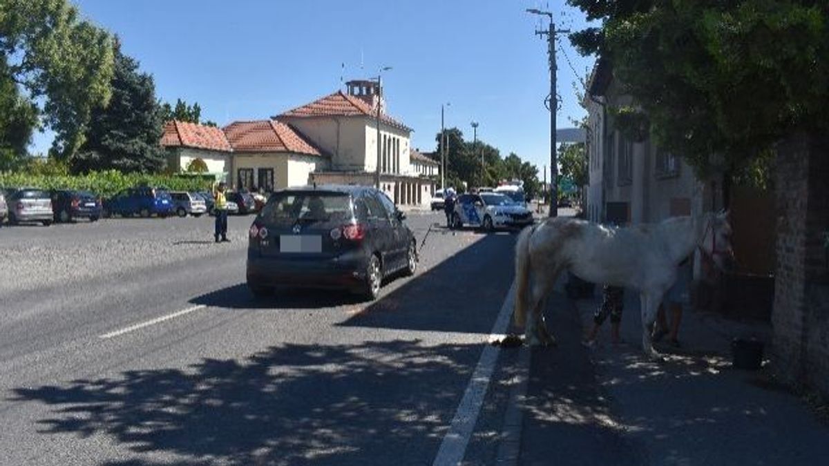  „Fizess 500 ezret vagy megölünk!” – Megvadult ló miatt akarták meglincselni a vétlen sofőrt Szekszárdon