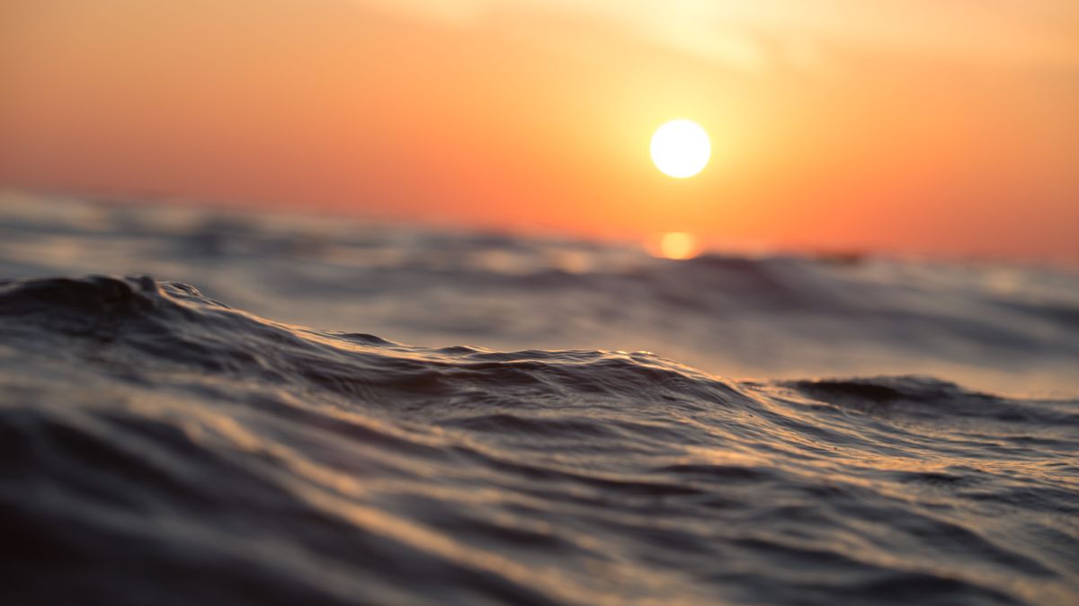 Pánik tört ki a strandon, borzalmas fertőzés támadta meg a fürdőzőket