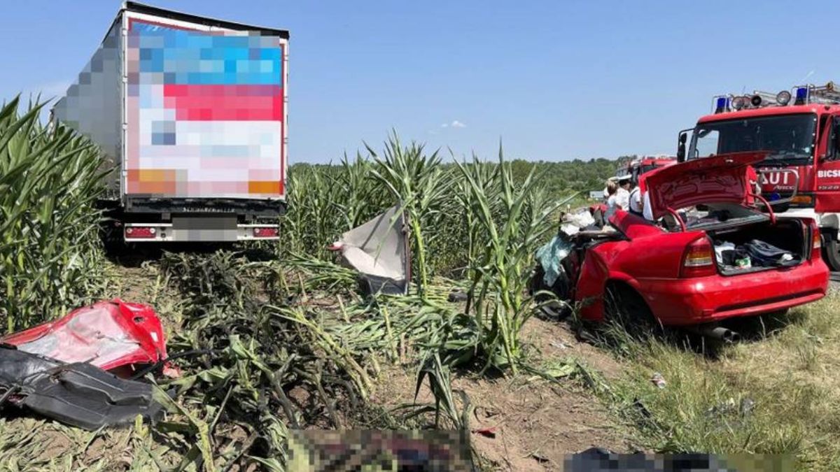 Angyal voltál, angyal lettél – Édesanyja búcsúzik a felcsúti 