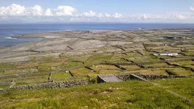 Kipróbálnád? Egy évig ingyen lakhatnál ezen az ír szigeten