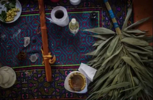 ayahuasca