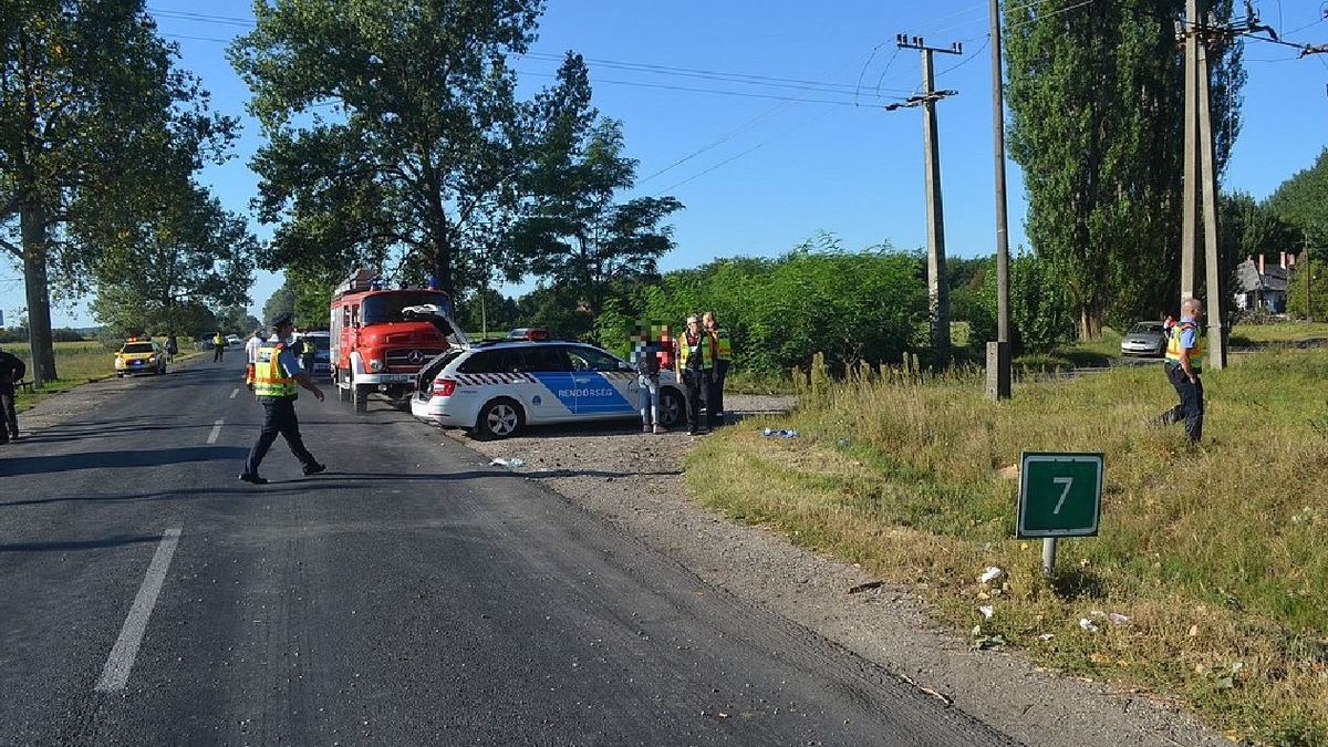 Tragédia a buszmegállóban Ceglédnél: 25 éves anya és 9 éves fia halt meg - helyszíni fotók