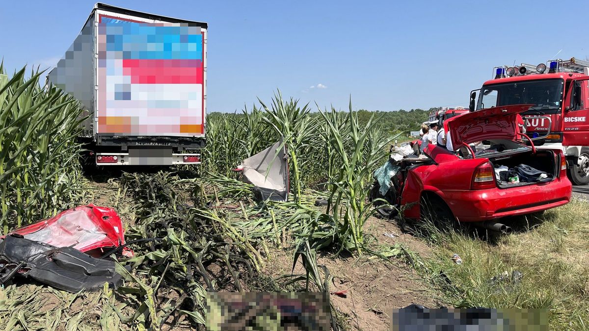 3 fiatal életét követelte: rosszul felszerelt téligumi volt a felcsúti „halálautón”