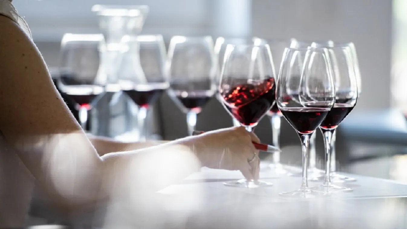 Tokajiak vitték a prímet az első Winelovers Wine Awardson