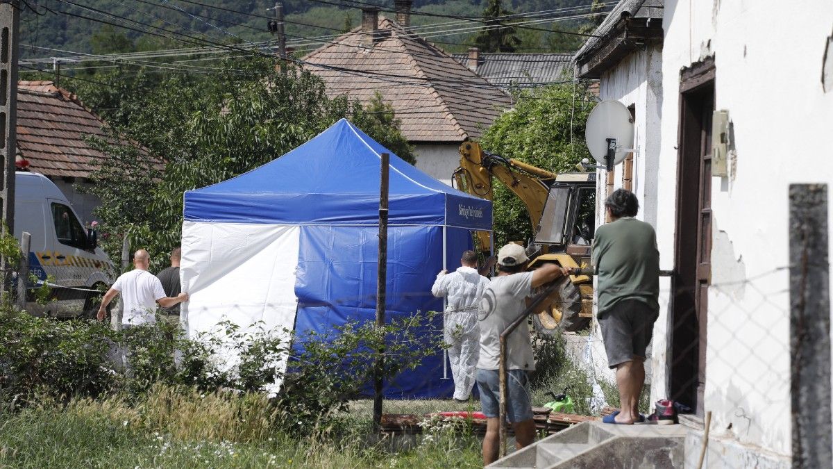 Eltűntként körözik a vélhetően halott diósjenői lányt