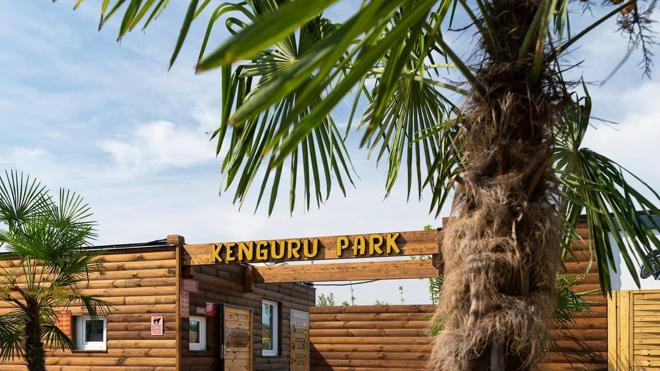 Tudtad, hogy Magyarországon Kenguru Park is létezik?