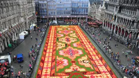 Ilyen, amikor virágszőnyeg teríti be a világ egyik legszebb terét