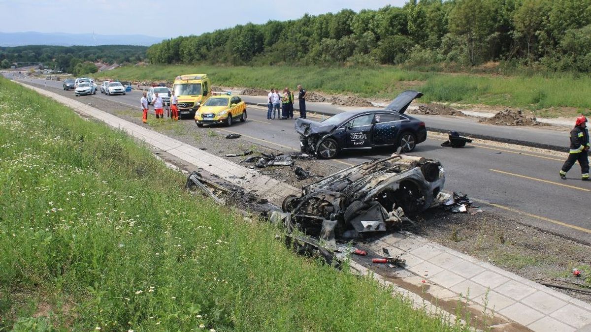 Borzalmas baleset történt, kiskutyájával halt szörnyet egy férfi Borsod megyében