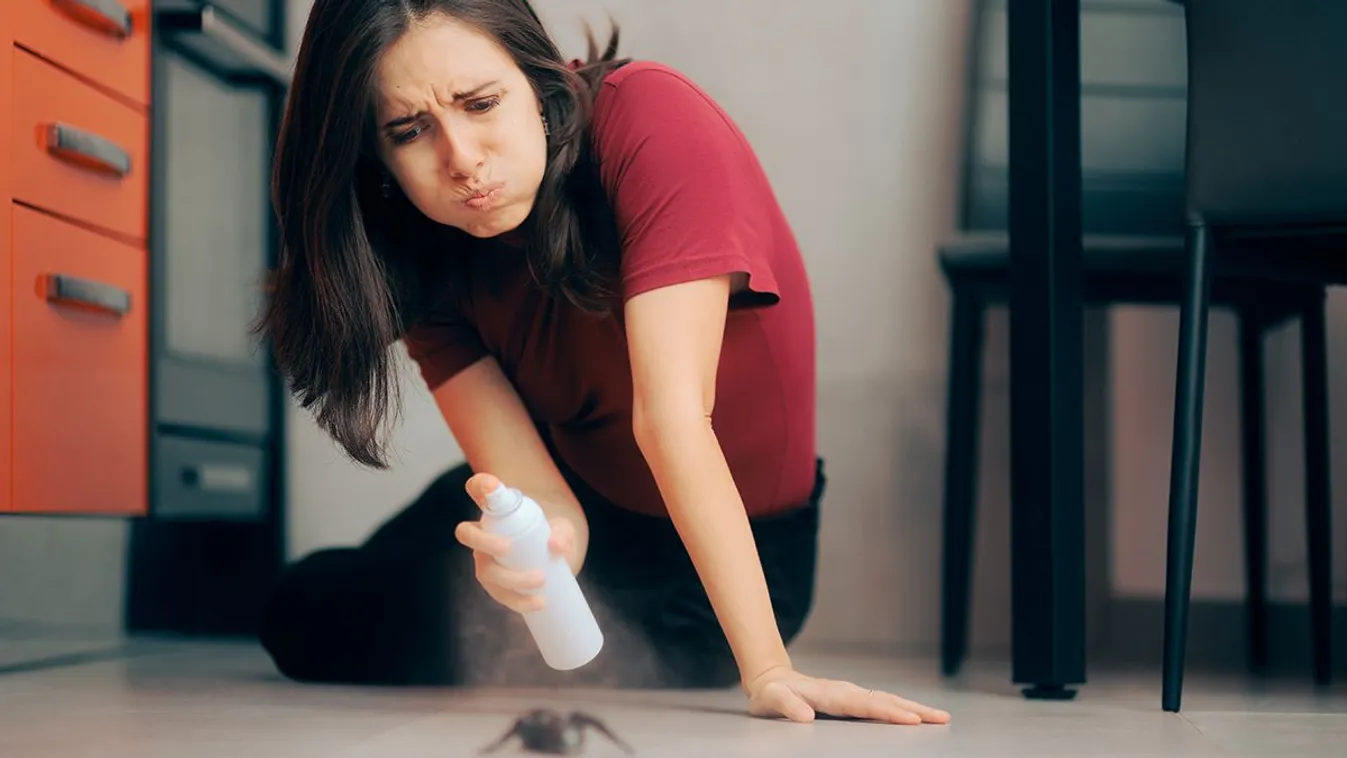 Woman,Spraying,With,Insecticide,Over,An,Ant,On,The,Kitchen