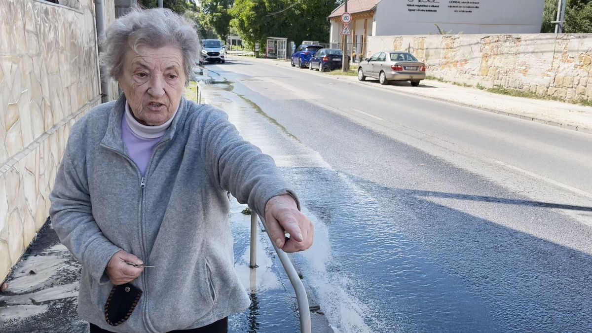 Csőtörés mossa el az idős asszony házát Budapesten