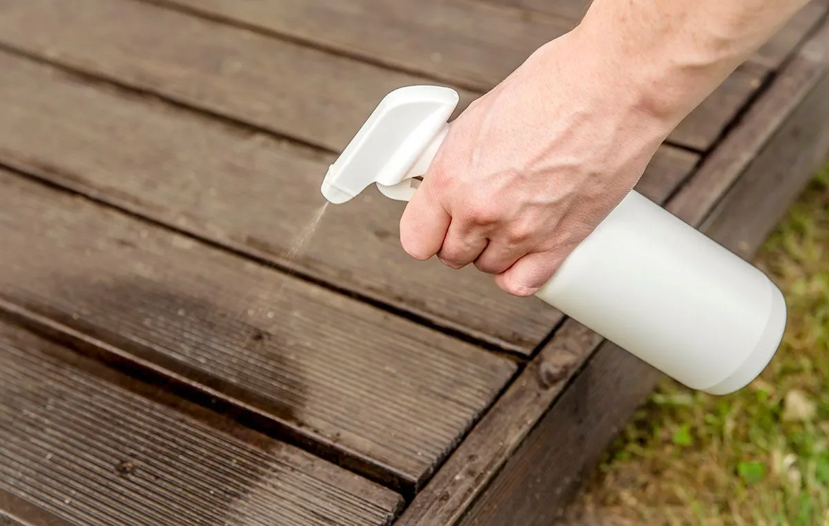 Homemade,Ant,Repellent,Spray,Mixture,In,Bottle.,Person,Hand,Spraying