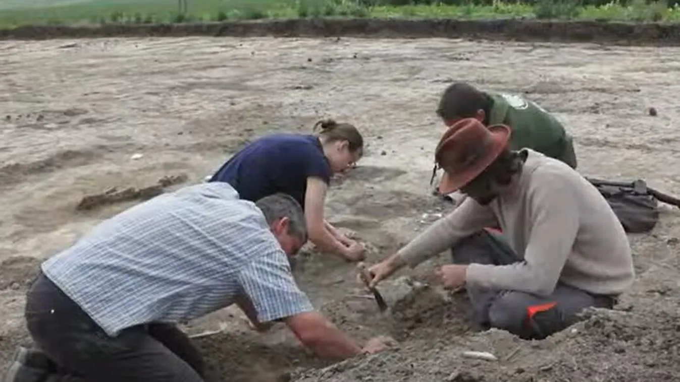 Videó: Nem mindennapi leletre bukkantak Mánynál