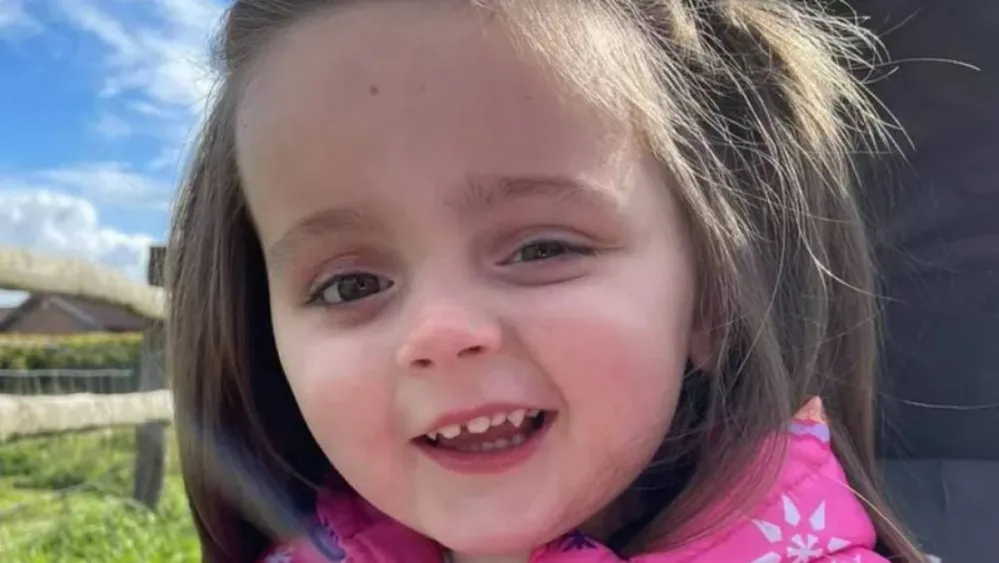 Aria Hodgkiss, GoFundMe