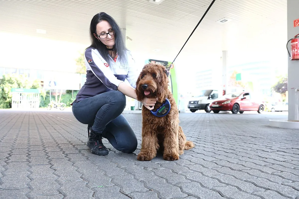 Chipleolvasó program, MOL, Vigyél Haza Alapítvány